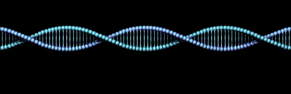 DNA spiralen på svart — Stockfoto