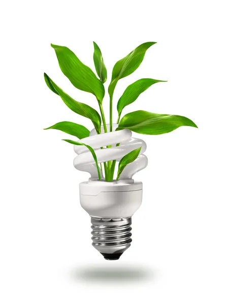 Zelená energeticky úsporná lampa — Stock fotografie