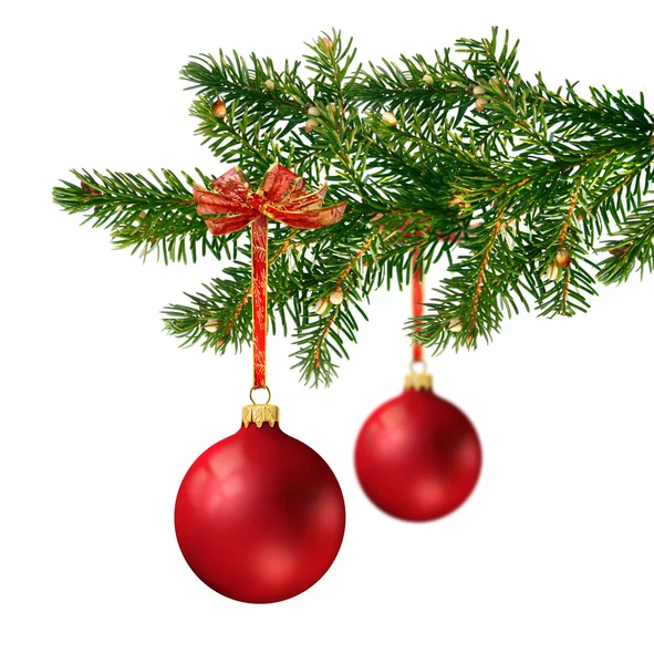 Due palline di vetro rosso sul ramo dell'albero di Natale — Foto Stock