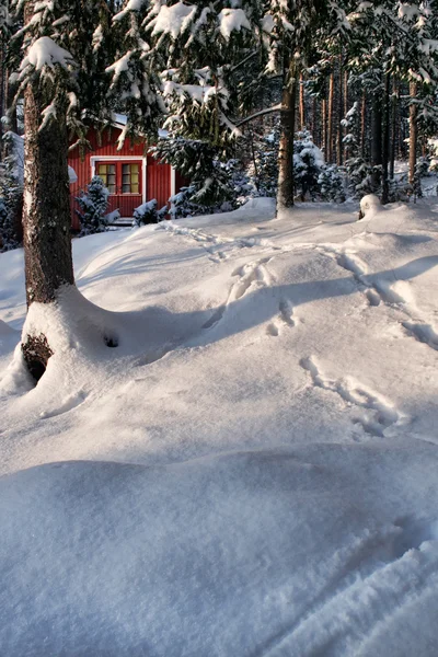 Κόκκινο καλύβα στο δάσος του χειμώνα — Φωτογραφία Αρχείου