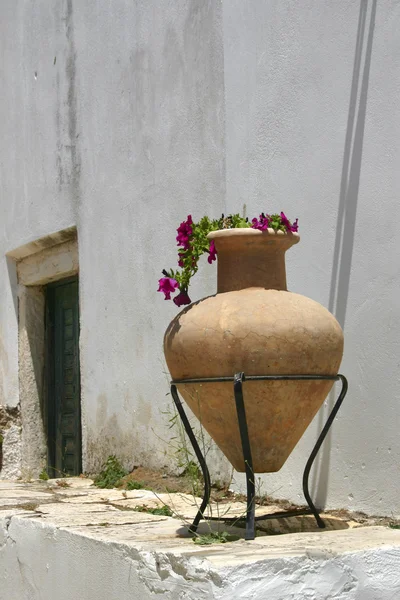 Greek amphora pot — Stock Photo, Image