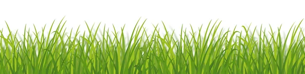Green grass dense — Zdjęcie stockowe