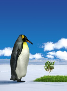 Penguin wondering grass clipart