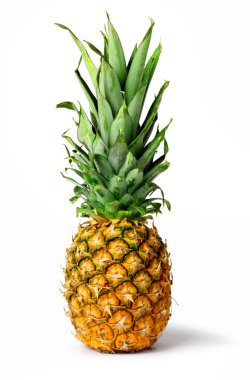 taze ananas meyve izole