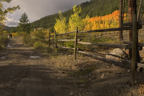 Jesienny krajobraz z kobiety chodzenia psa — Zdjęcie stockowe