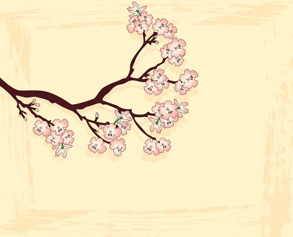 Fond avec branche de fleur — Image vectorielle