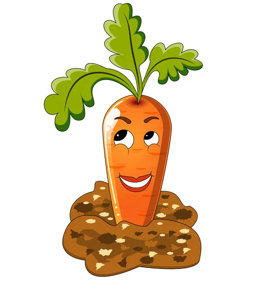 Carrot — Stock Vector