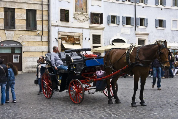 Pony and carriage — Stock Photo, Image
