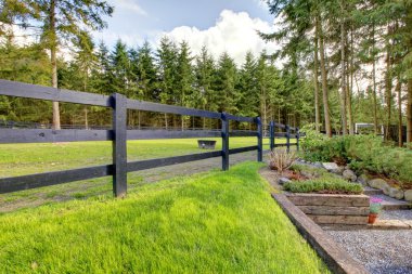 Green horse farm pastue with steps in the forest. clipart