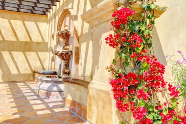 Flowers and fountain on Spanish wall details. clipart