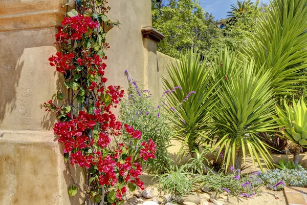Tropische Wüstenlandschaft mit gelber Mauer und roten Blumen. — Stockfoto