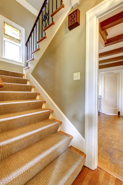 Oude trap met groene muren en tapijt. — Stockfoto