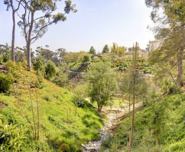 vadi ve balboa Park Japon bahçesi görünümü.