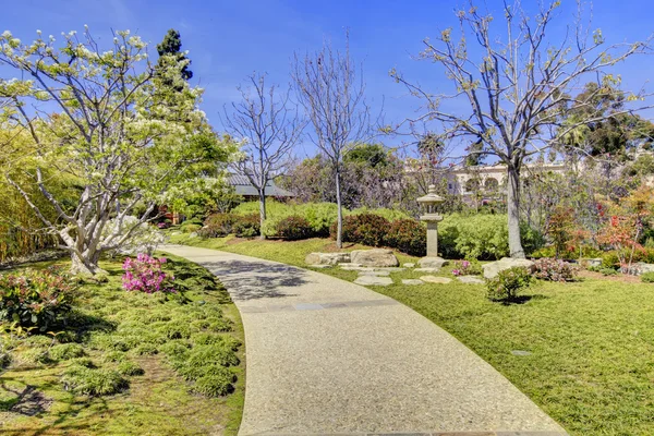 Japanse tuin in san diego vroege voorjaar bloeien. — Stockfoto