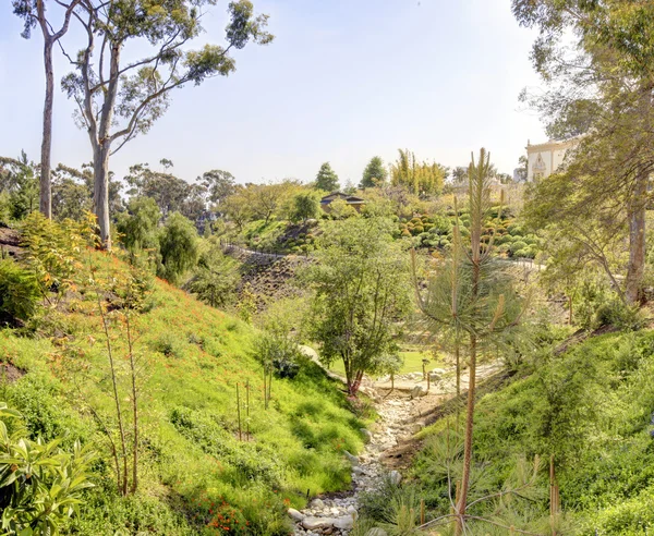 View of valley and Japanese garden in Balboa park. — Stock Photo, Image