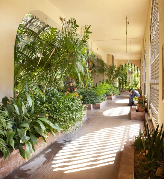 Ботаническое здание Бальбоа в Сан-Диего, Калифорния . — стоковое фото