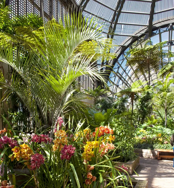 Balboa park botanische gebouw met orchideeën en palmbomen. — Stockfoto
