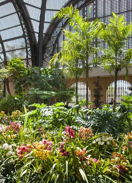 stock image Balboa park botanical building with orchids and palm trees.