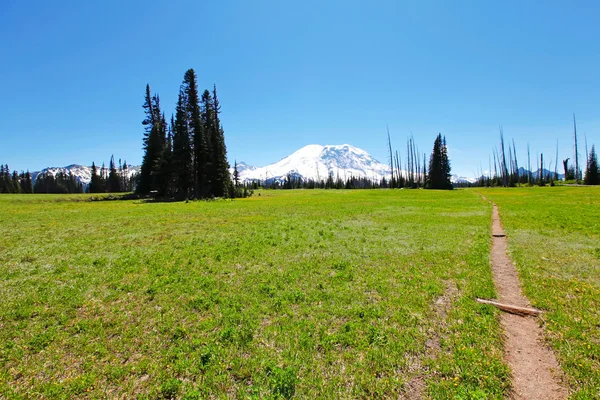 Mountain Rainier volcano park meadow. — Stock Photo, Image