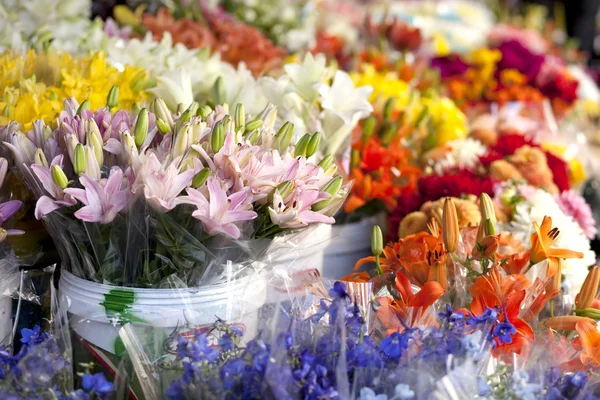 Çiçekleri açık piyasa stand. — Stok fotoğraf