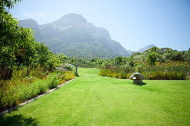 Kirstenbosch National Botanical Garden, Cape Town clipart