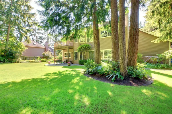 大きな家と松の木と夏の裏庭. — ストック写真