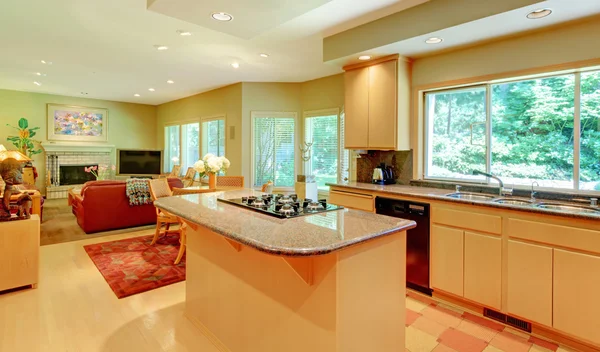 Cozinha e sala de estar com muitas janelas . — Fotografia de Stock