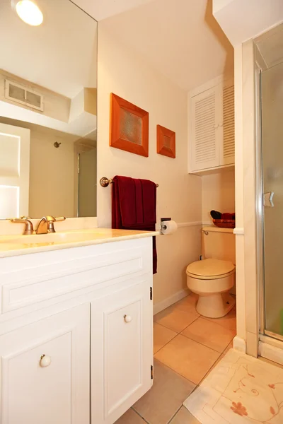 Kleine eenvoudige witte badkamer met douche en wastafel — Stockfoto