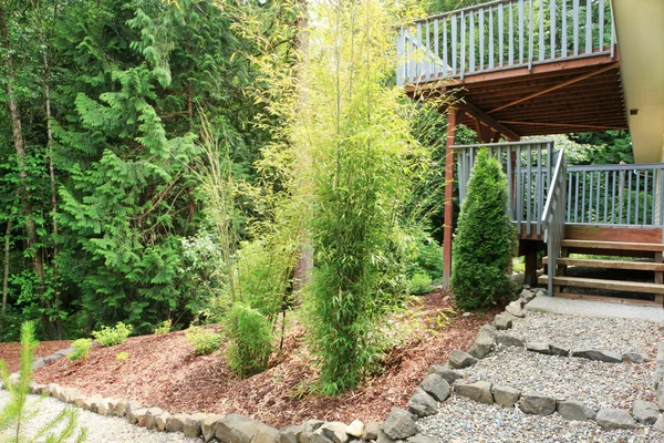 Задний двор с двумя палубами и лесом — стоковое фото