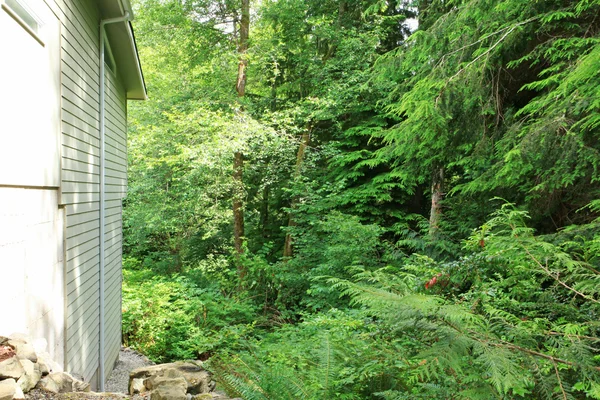 Côté de la maison avec forêt verte derrière — Photo