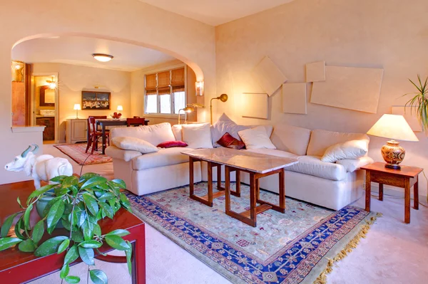 Mooie lichte woonkamer ontwerp — Stockfoto