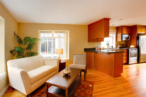 Moderno apartamento sala de estar e cozinha — Fotografia de Stock