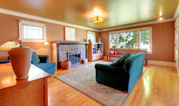 Hnědá obývací pokoj s zelenou pohovkou — Stock fotografie