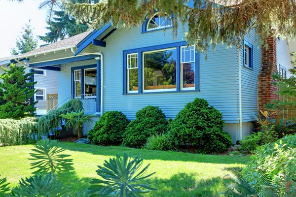 Azul velho artesanato estilo casa atrás da árvore — Fotografia de Stock