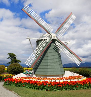 Wind mill and tulips. clipart