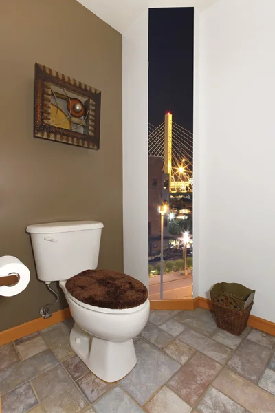 Toilettes avec mur vert et art en brun — Photo
