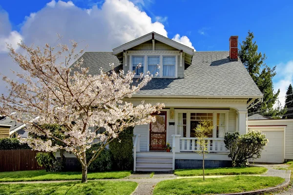Piccola vecchia casa carina con un albero di ciliegio in fiore . — Foto Stock