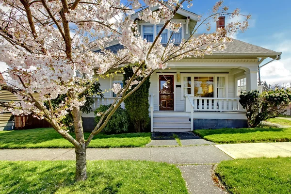 Piccola vecchia casa carina con un albero di ciliegio in fiore . — Foto Stock