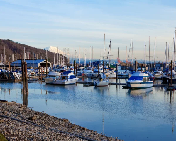 Puerto deportivo con barcos y el Monte Ranier en Tacoma, WA . —  Fotos de Stock