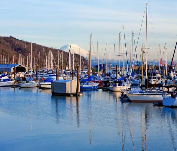 Marina com barcos e Mt.Ranier em Tacoma, WA . — Fotografia de Stock