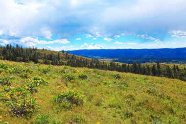 alanlar, tepeler, nehir ve dağ manzarası.