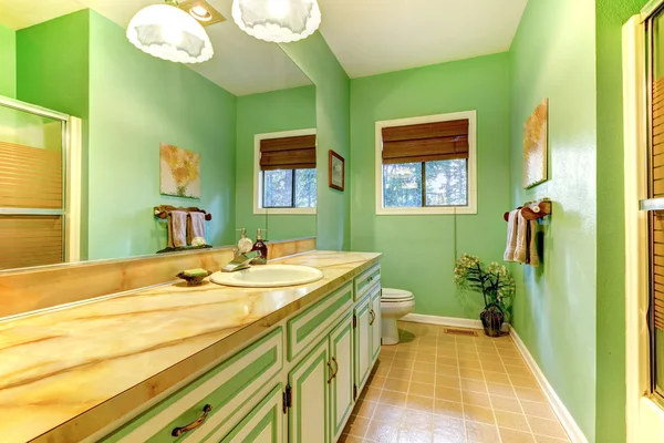 Wnętrze zielony łazienka nieaktualne. — Zdjęcie stockowe