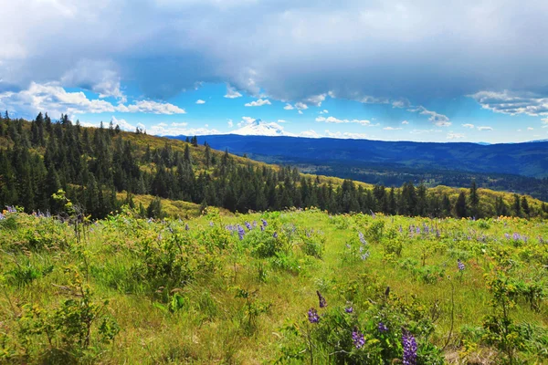 Fields, hills, river and mountains landscape. — Stock Photo, Image