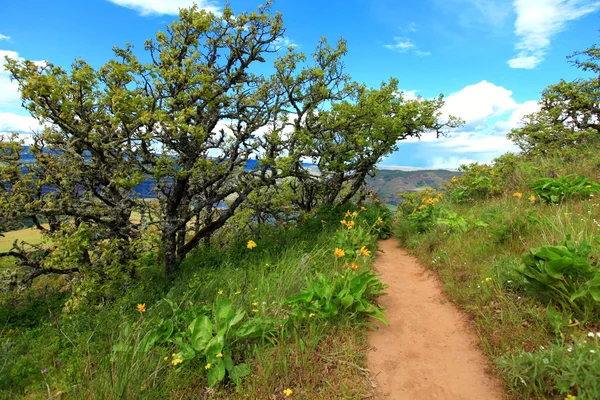 Fields, hills, river and mountains landscape. — Stock Photo, Image