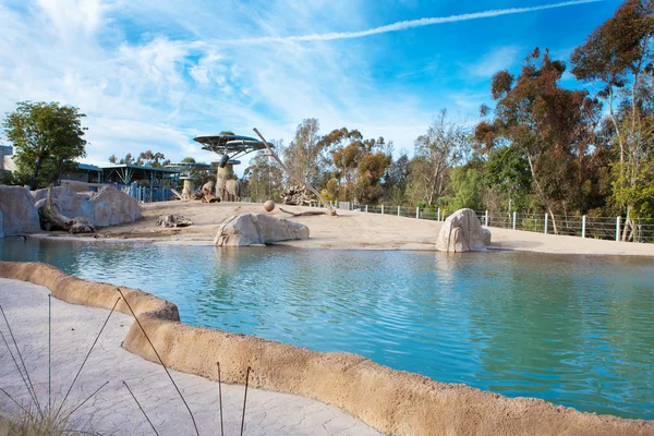 stock image Elephants in San Diego zoo.