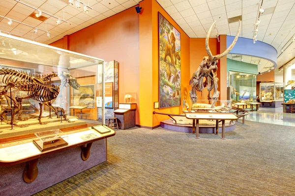 San Diego. Museo di Storia Naturale . — Foto Stock