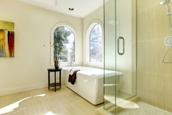 Lyxiga nya naturliga klassiska badrum. — Stockfoto