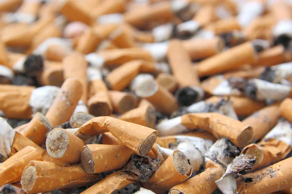 Colillas de cigarrillo —  Fotos de Stock