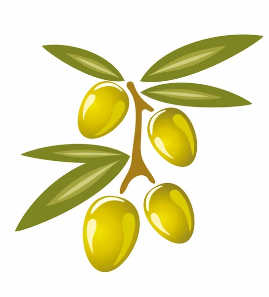 Gestileerde olijven symbool geïsoleerd op een witte achtergrond — Stockvector