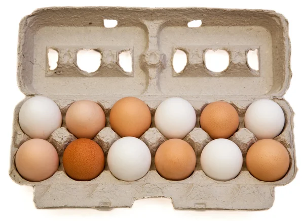 Variedad de huevo —  Fotos de Stock
